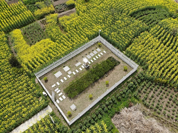 僅需2周，水質(zhì)就穩(wěn)定達(dá)標(biāo)！這種一體化生活污水處理設(shè)備供不應(yīng)求